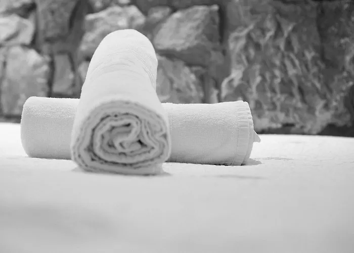 新艺术膳食公寓 招待所